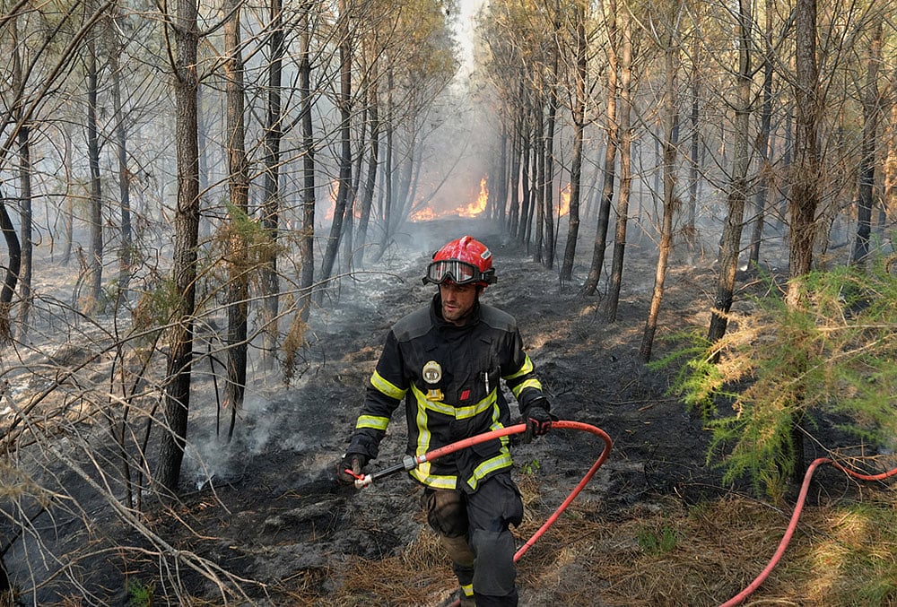 French forest fire gallery