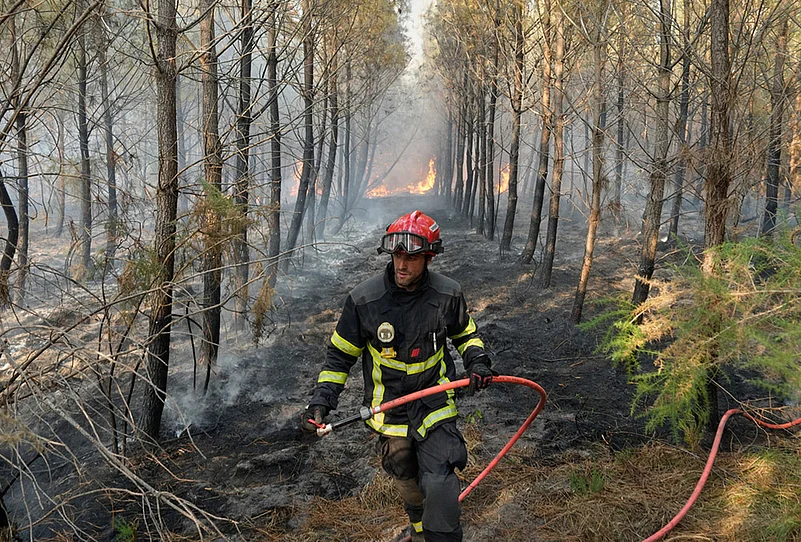 French forest fire gallery