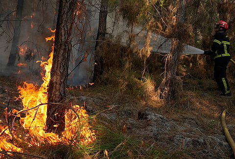 Firefighters work to extinguish a fire in a forest near Blagon, during wildfires in southwestern France, Wednesday, July 29, 2026. 