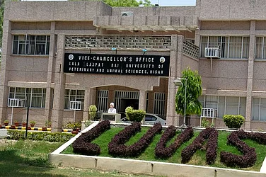 Outlook-ICARE Rankings 2026: Top 10 Veterinary Universities
