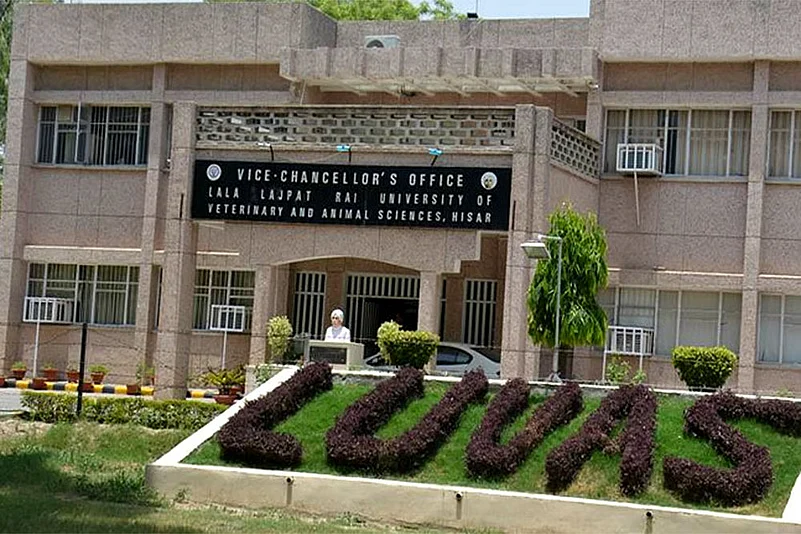 Top 10 Veterinary Universities