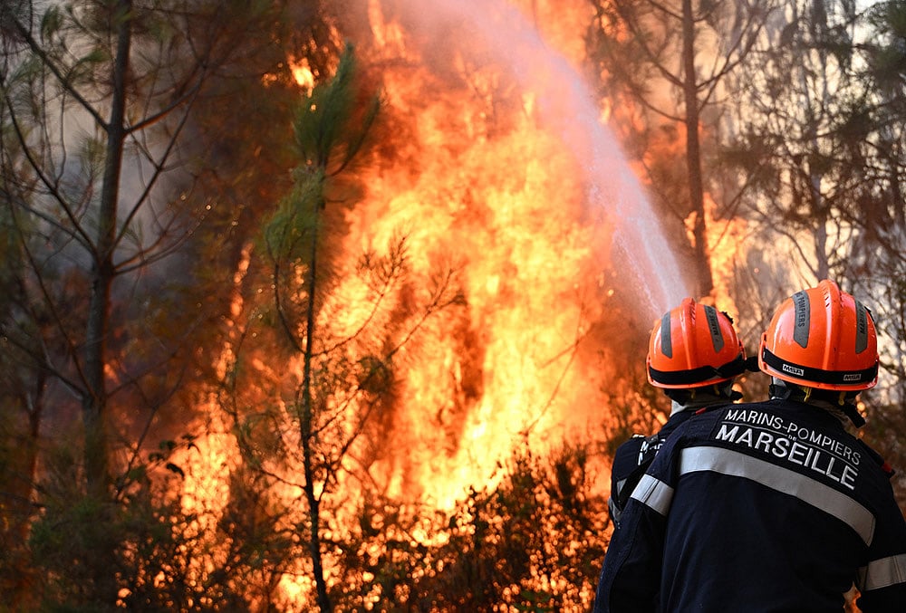 Smoke and burnt forest scenery
