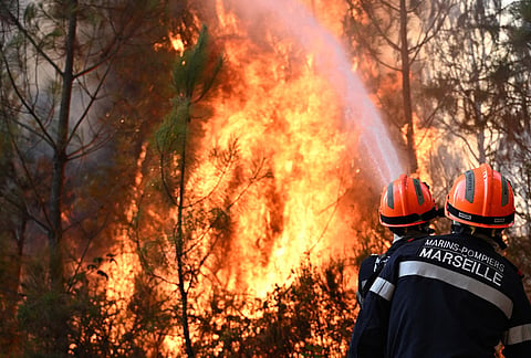 Firefighters work to extinguish a fire in the forest near Blagon, during wildfires in southwestern France, Wednesday, July 29, 2026. 