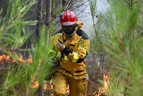 A firefighter creates a controlled burn to contain a fire area near Lege-Cap-Ferret, during wildfires in southwestern France.