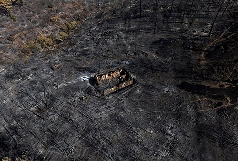 A view of the area scorched by a wildfire in El Tiemblo, Avila province, Spain, Thursday, July 30, 2026. 