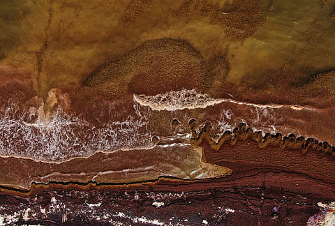 Sargassum covers the coast of Tulum, Mexico.