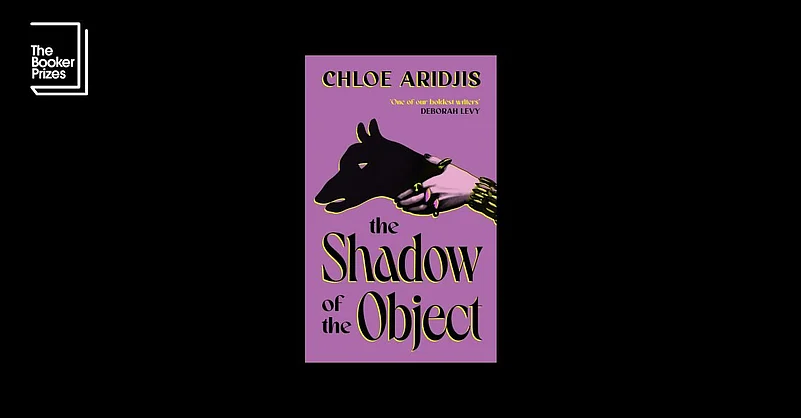 Chloe Aridjis The Shadow of the Object