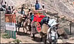 Indo-China Border Trade Resumes Through Shipki La After Six-Year Break Photo: Hishey Negi : Traders leave with mules loaded with goods to China at Shipki La pass in Kinnaur, Himachal pradesh on resumption of ancient Indo China trade after six years gap