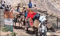 Photo: Hishey Negi : Traders leave with mules loaded with goods to China at Shipki La pass in Kinnaur, Himachal pradesh on resumption of ancient Indo China trade after six years gap
