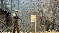 J&K Down to One Active Local Terrorist, Security Forces Intensify Hunt for Mohammed Lateef Bhat | Photo: PTI : A security officer during a search operation
