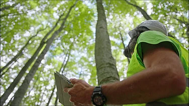 The Sustainability Cost Of AI: The Hidden Environmental Price Of The Digital Revolution