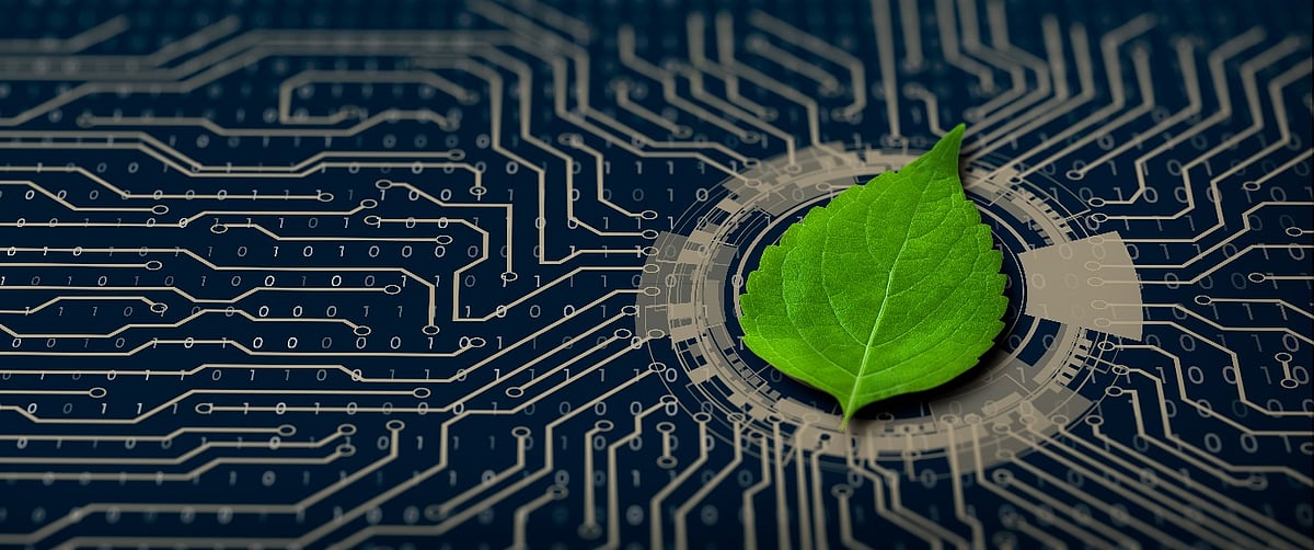 A green leaf on a digital circuit board