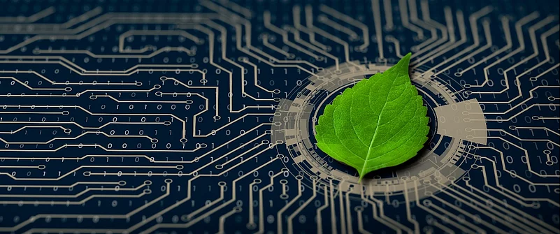 A green leaf on a digital circuit board