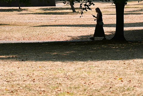 A woman is silhouetted as she walks through dried grass in Green Park on a hot day amid drought conditions in London, Monday, Aug. 3, 2026. 