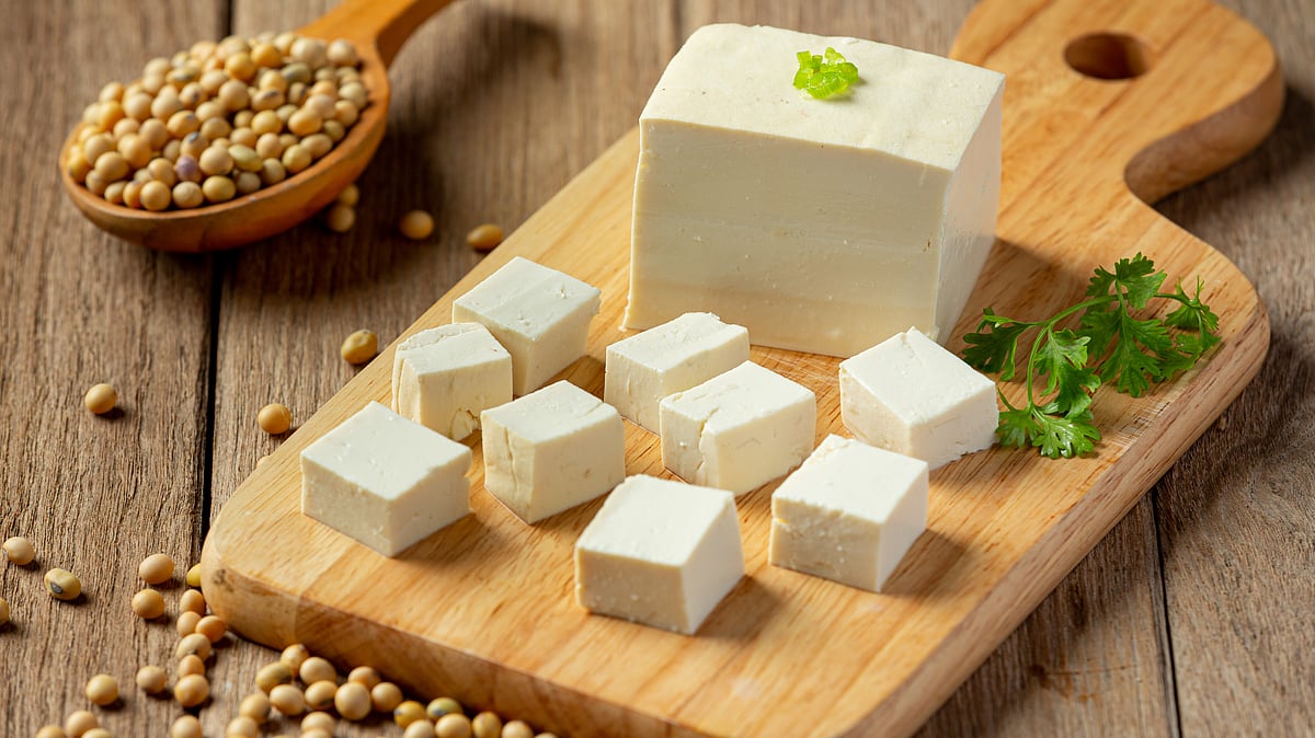Paneer
