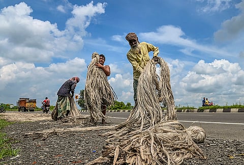 Farmers lay out freshly extracted jute fibers for drying along a highway, in Nadia, West Bengal.
