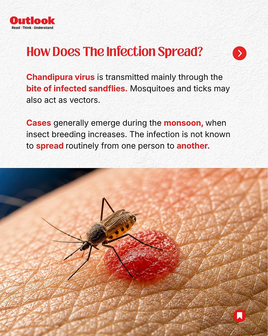 Chandipura virus infographic