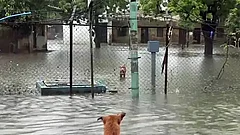 Flood Waters Recede In Parts Of Central Kerala As IMD Issues Orange Alert For Five Districts - null