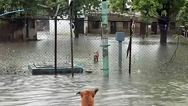 Flood Waters Recede In Parts Of Central Kerala As IMD Issues Orange Alert For Five Districts