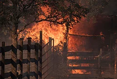 A structure is engulfed in flames during the Gann Fire near Angels Camp in Calaveras County, California, Tuesday, Aug. 4, 2026. - | Photo: Stephen Lam/San Francisco Chronicle via AP