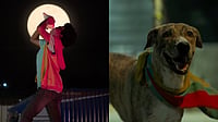 Ohh My Dog Review | Amit Rai Delivers A Moving Thriller About Humanity's Most Loyal Companions YouTube : Ohh My Dog Review
