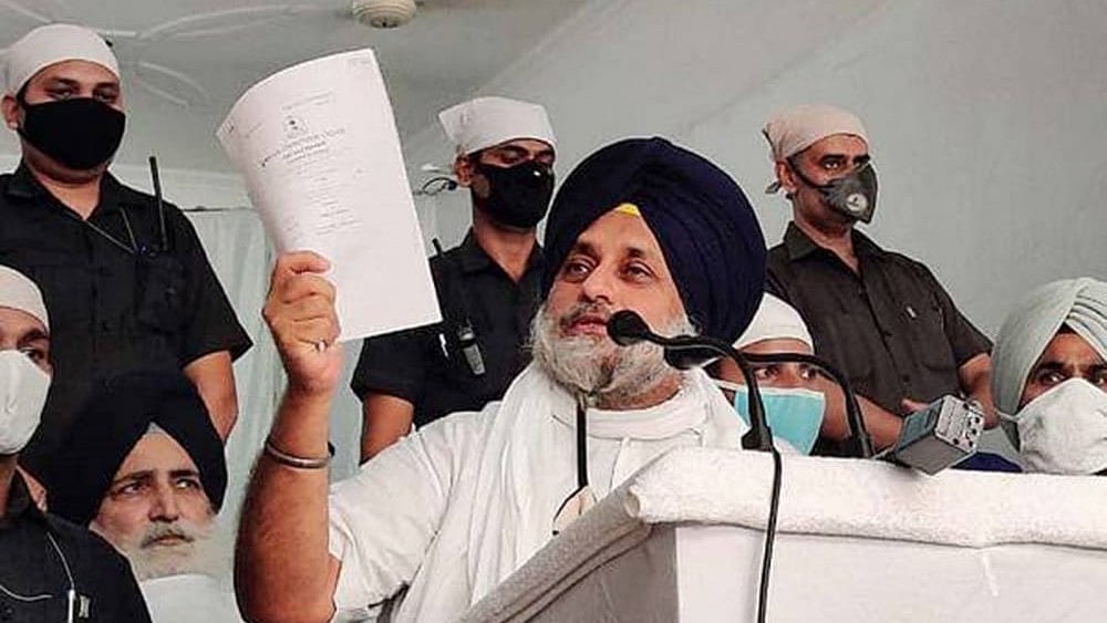 SAD Chief Sukhbir Singh Badal - File Photo