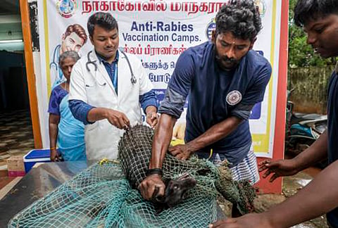 A man holds a pet during a rabies vaccination drive organised by Nagercoil Corporation, in Nagercoil, Tamil Nadu. 