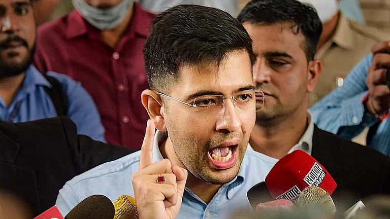 BJP Leader Raghav Chadha - null