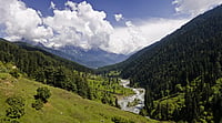 Wikimedia Commons : Our future is closely linked to the wellbeing of the natural world