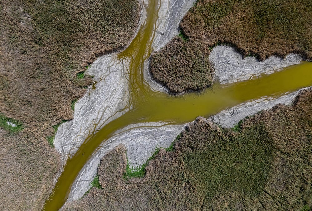 Heated shallow lake wate