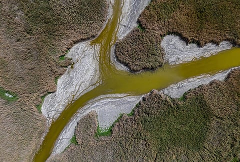 An image taken with drone shows an area of the drought-stricken Lake Velence near Dinnyes, Hungary, Wednesday, Aug. 26, 2026. 