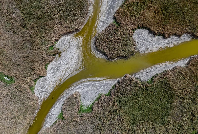 Heated shallow lake wate