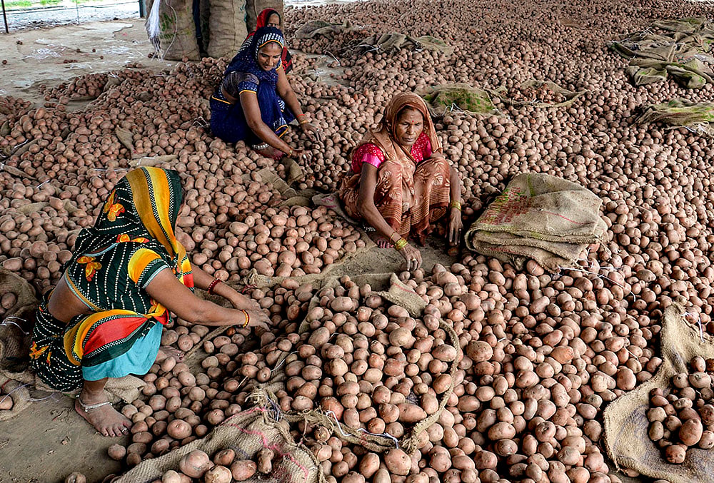 Workers at a wholesale market