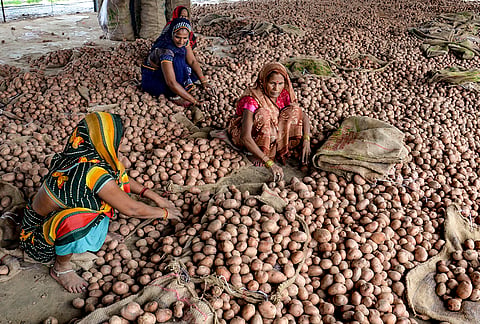 Workers sort potatoes at a wholesale market, in Mirzapur.