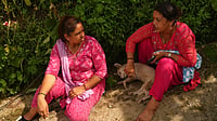 Nepal Floods: Sweetie Reunites with Family after Surviving Five Days Alone Suresh K Pandey/Outlook : A female dog braves the devastating floods in Nepal