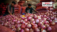 File Photo : Why Onion Prices Rise Despite India Producing More Than It Needs