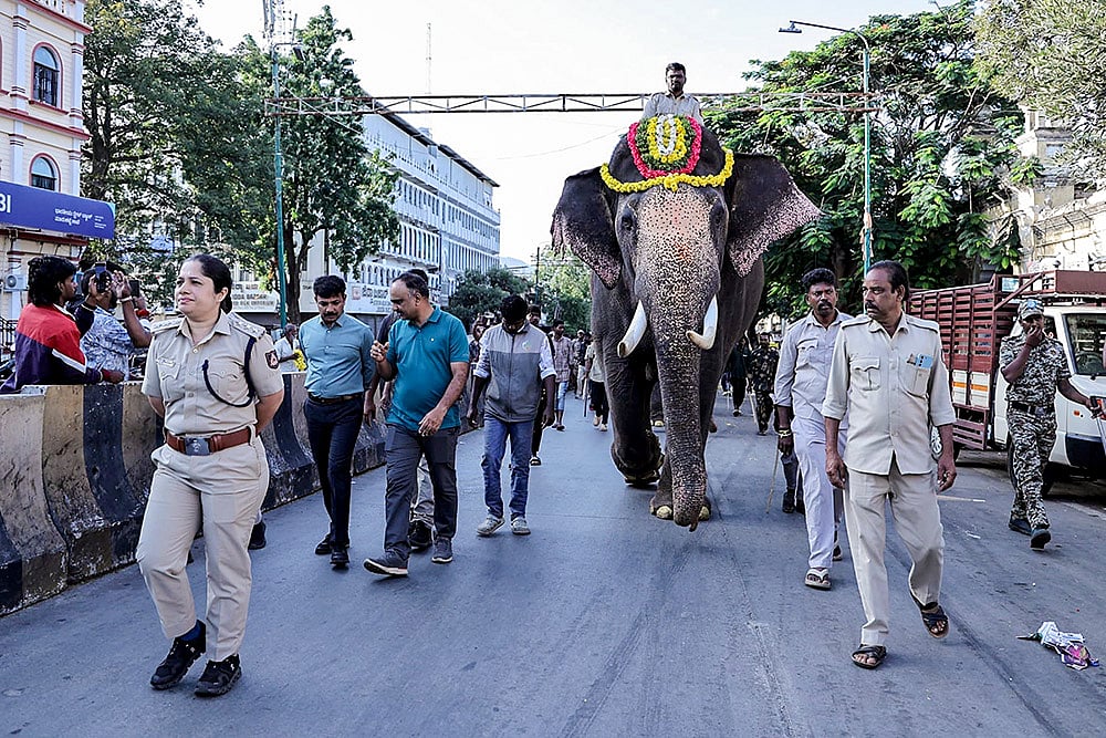 Preps for Dasara festival in Mysuru