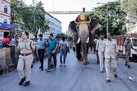 Mahouts ride Dasara elephants outside the Mysuru Palace, amid preparations for the upcoming annual 'Dasara' festivities, in Mysuru, Karnataka.