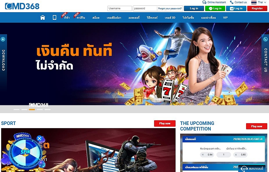 CMD368 website
