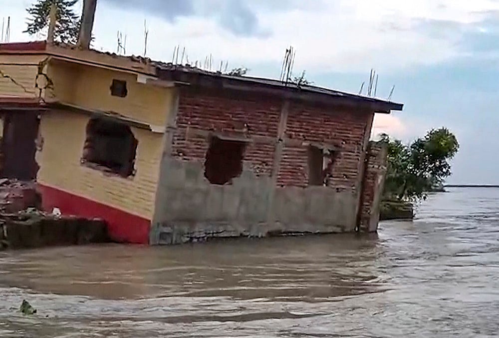Administration issues alert for unknown fish washed in from Nepal floods