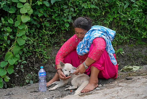Shoba Shrestha gives water to her dog Sweety, after the dog returned home following four days apart in the aftermath of flash floods in Nepal's Nuwakot district, Saturday, Aug. 29, 2026. 