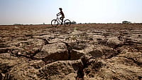 IMAGO / Xinhua : Representational Photo