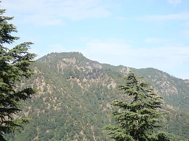 Wikimedia Commons