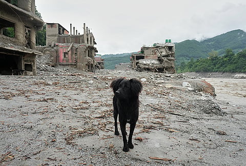 A dog stands next to structures damaged in flash floods, in Nepal's Nuwakot district, Thursday, Sept. 3, 2026. 