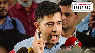Raghav Chadha’s Name Missing From Punjab Draft Roll: How SIR Deletions Work