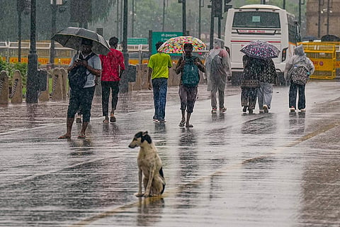 A dog and people at the Kartavya Path amid monsoon rain, in New Delhi. IMD has issued a yellow-to-orange alert for the day, predicting light-moderate rain.