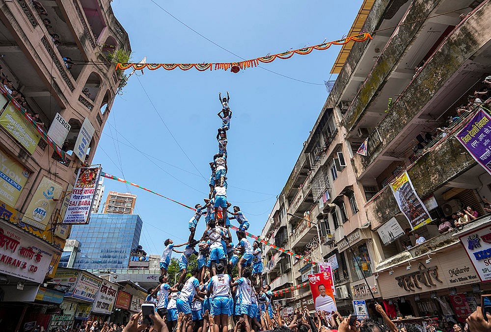 How tall is the highest Dahi Handi pyramid