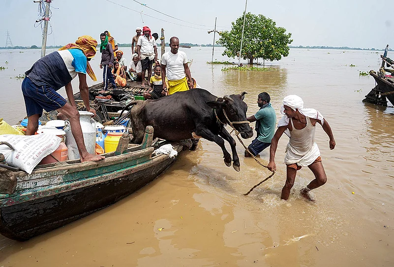 Bihar flood news