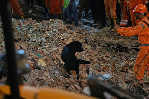 A rescue worker and dog search for survivors trapped under the debris of a collapsed building in New Delhi.
