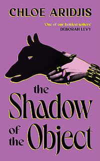 Interview With Booker-longlisted Author Chloe Aridjis The Shadow of the Object